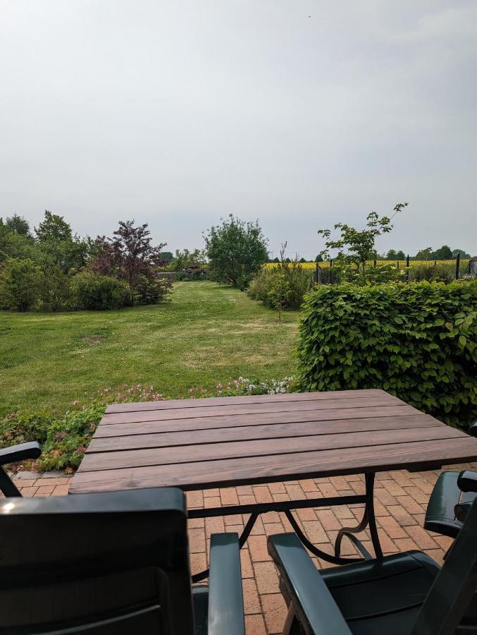 Ferienwohnung Wittenfoerden Wittenforden Esterno foto